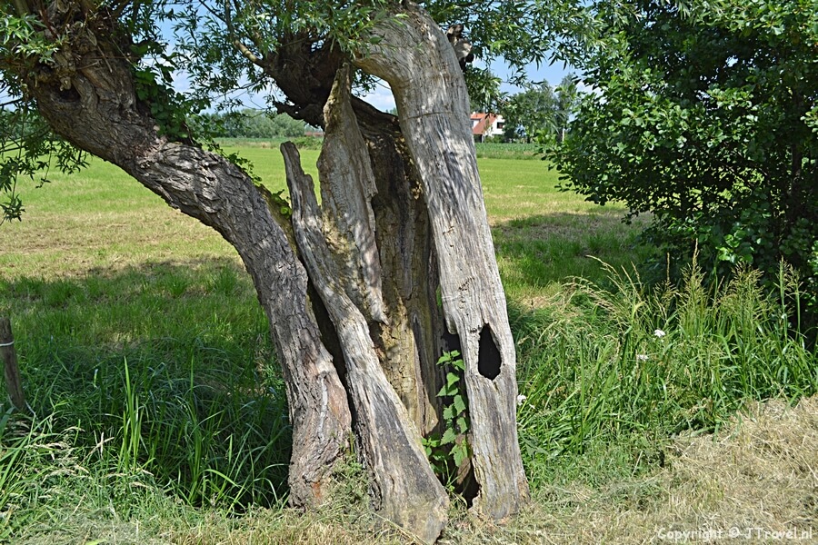 De Diermenseweg in Nijkerk