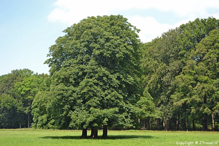 Onderweg rond Nijkerk