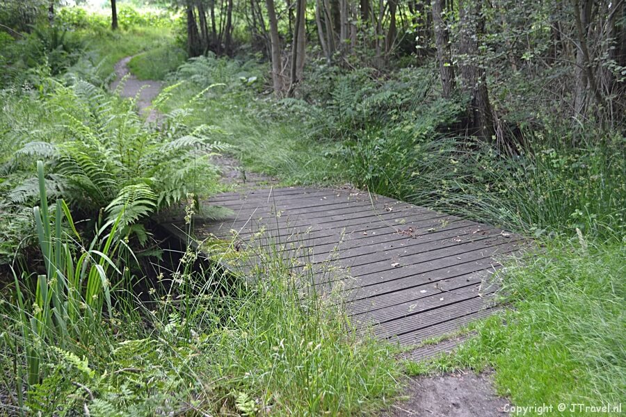 'Bruggetje' op Landgoed Oldenaller in Nijkerk