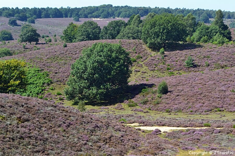 Wandeling rond Rheden / Copyright © JTravel.nl