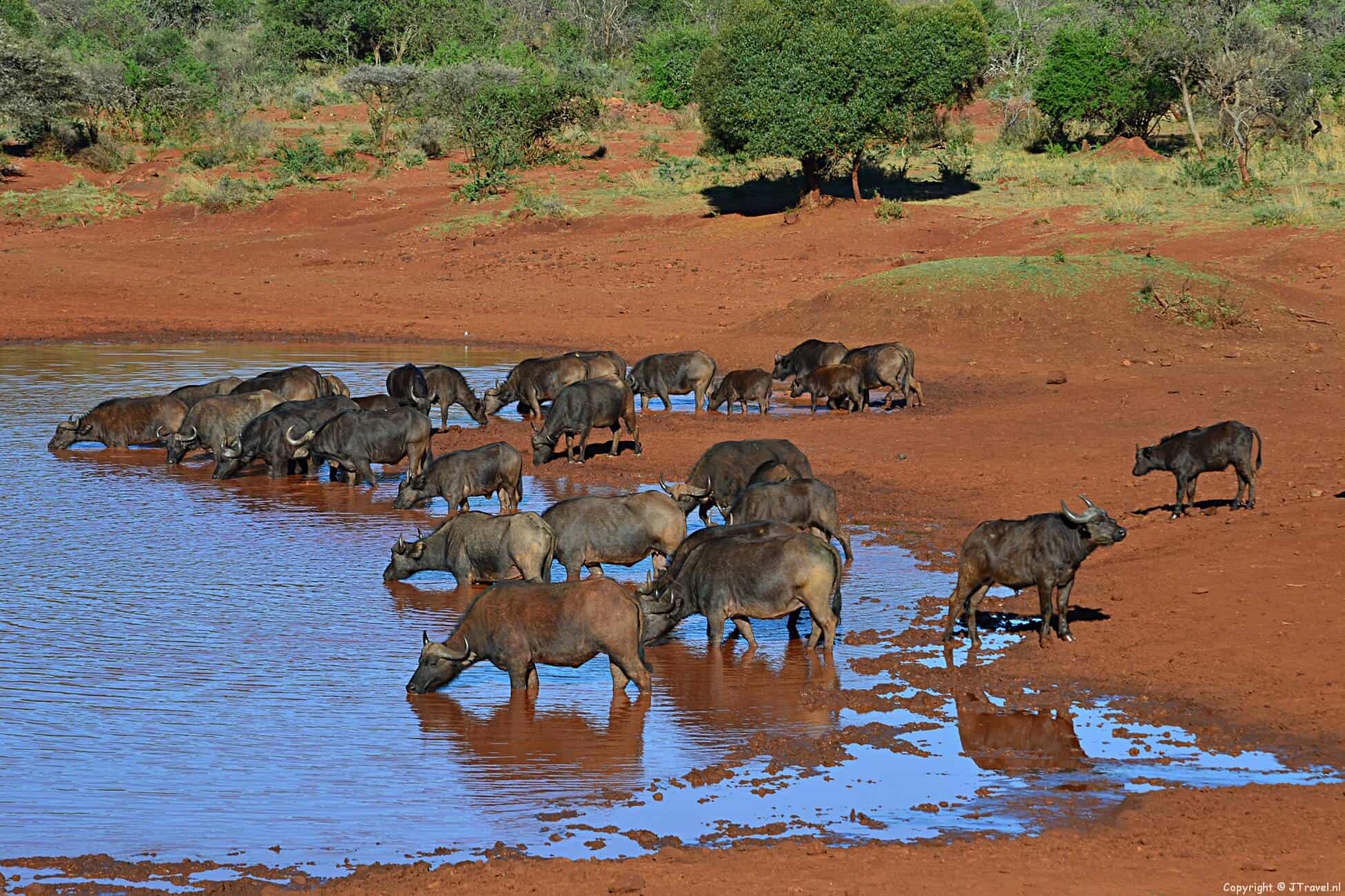 Kosten van mijn 23-daagse groepsrondreis door Zuid-Afrika