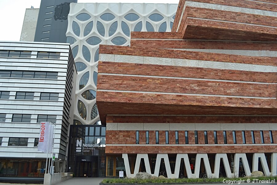 Museum Naturalis in Leiden