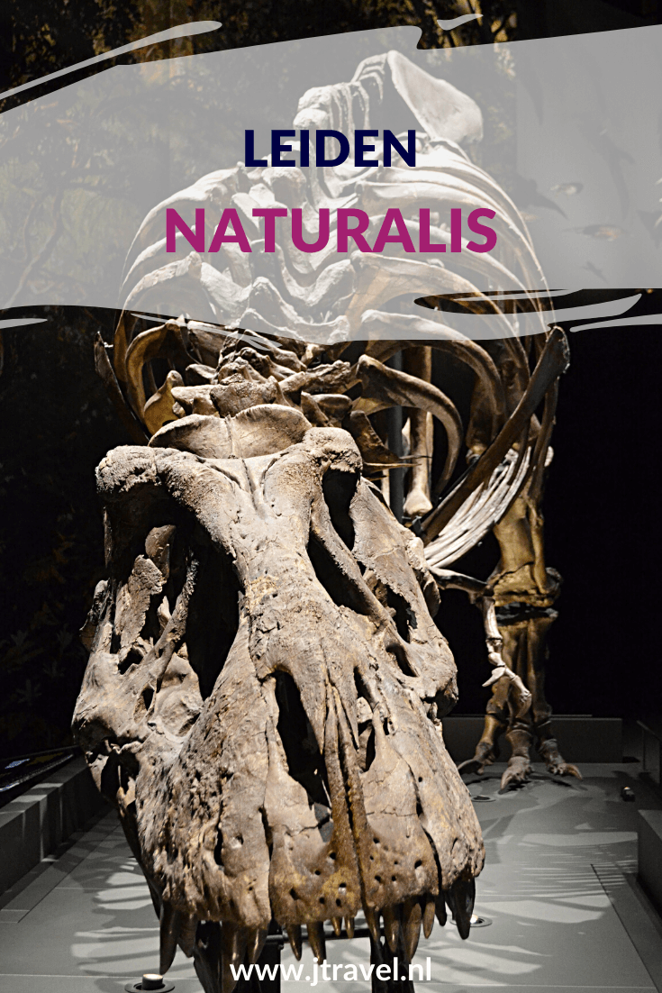In Leiden bezocht ik Naturalis. In Naturalis beleef je de wonderlijke wereld die natuur heet. Ga op ontdekkingstocht in zeven tentoonstellingszalen vol met het mooiste uit de natuur en ga op zoek naar T. rex Trix. Hier lees je meer over Naturalis in Leiden. Lees je mee? #naturalis #naturalisleiden #leiden #museum #museumkaart #jtravel #jtravelblog