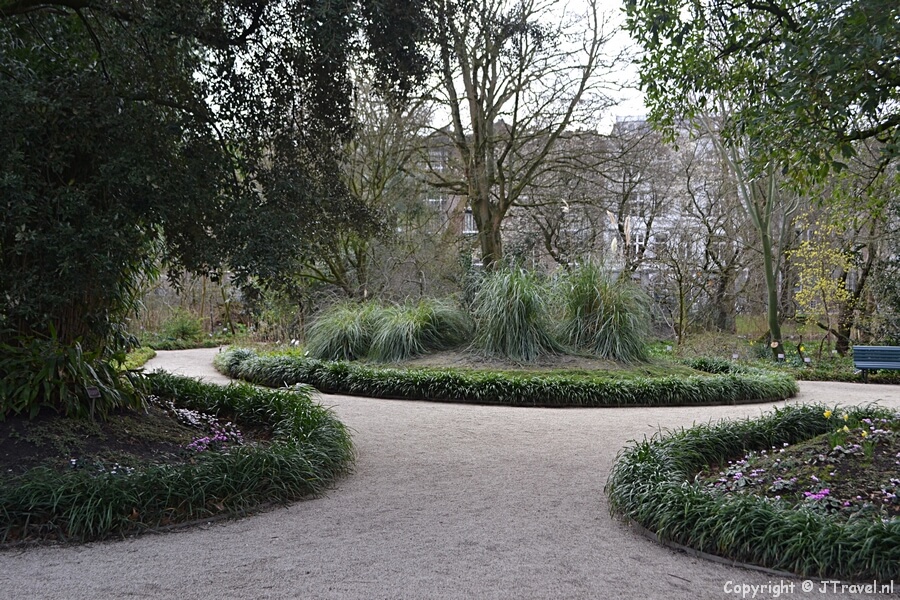 De Hortus Botanicus in Amsterdam