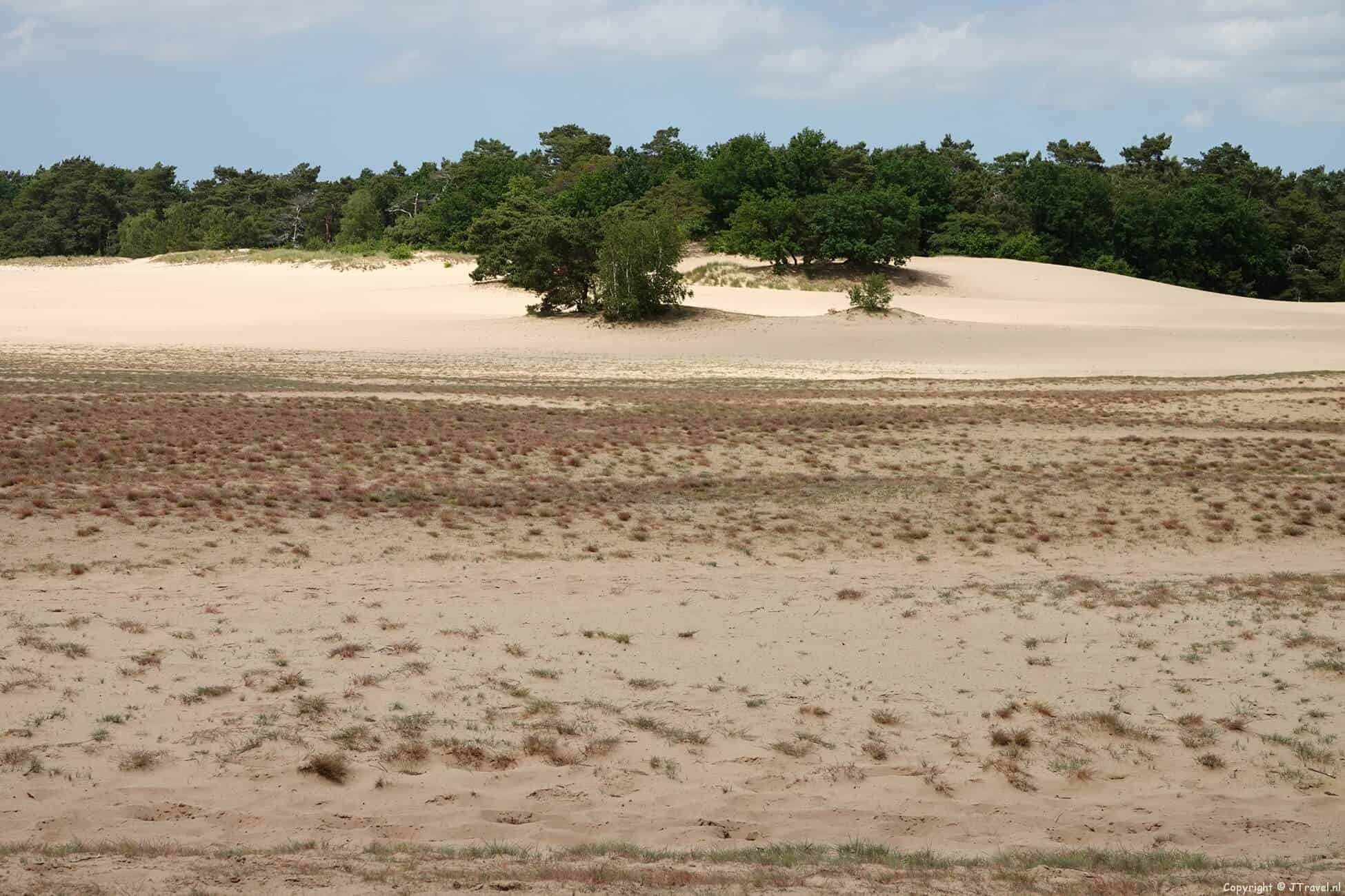 Foto's van de etappes 15 t/m 19 van het Westerborkpad : Station Nunspeet - Station Zwolle