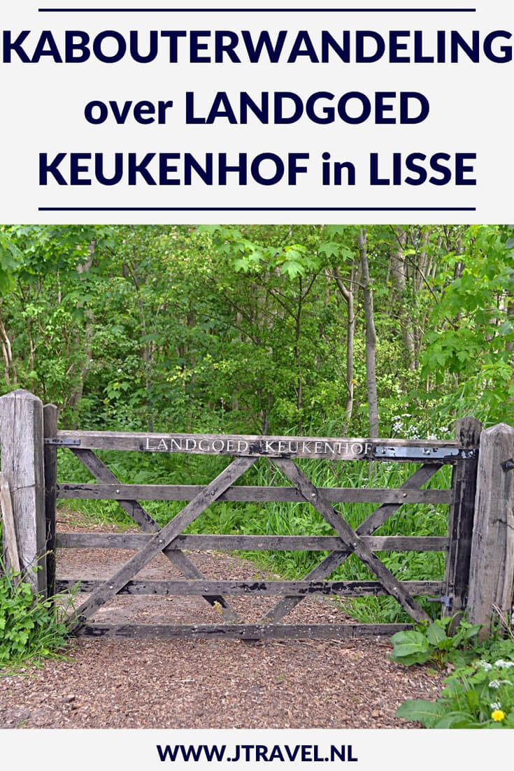 Ik maakte een kabouterwandeling over Landgoed Keukenhof bij Lisse in de Bollenstreek. Mijn belevenissen en mijn route lees je in dit artikel. Loop je mee? #wandelen #bollenstreek #landgoedkeukenhof #kabouterwandeling #lisse #jtravel #jtravelblog Ik maakte een kabouterwandeling over Landgoed Keukenhof bij Lisse in de Bollenstreek. Mijn belevenissen en mijn route lees je in dit artikel. Loop je mee? #wandelen #bollenstreek #landgoedkeukenhof #kabouterwandeling #lisse #jtravel #jtravelblog