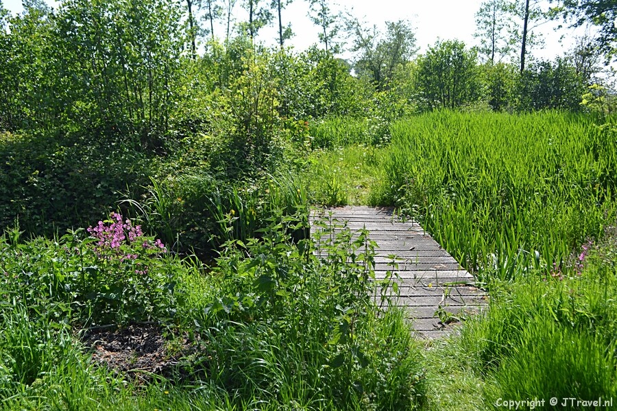 Onderweg tijdens de Kabouterwandeling bij Kasteel Keukenhof