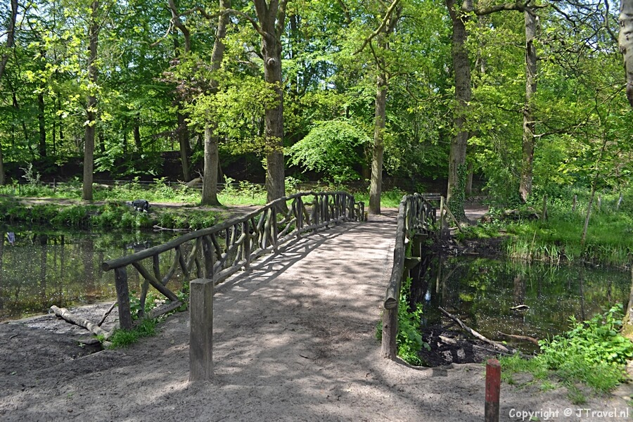 De Chinese brug in Wandelbos Groenendaal in Heemstede