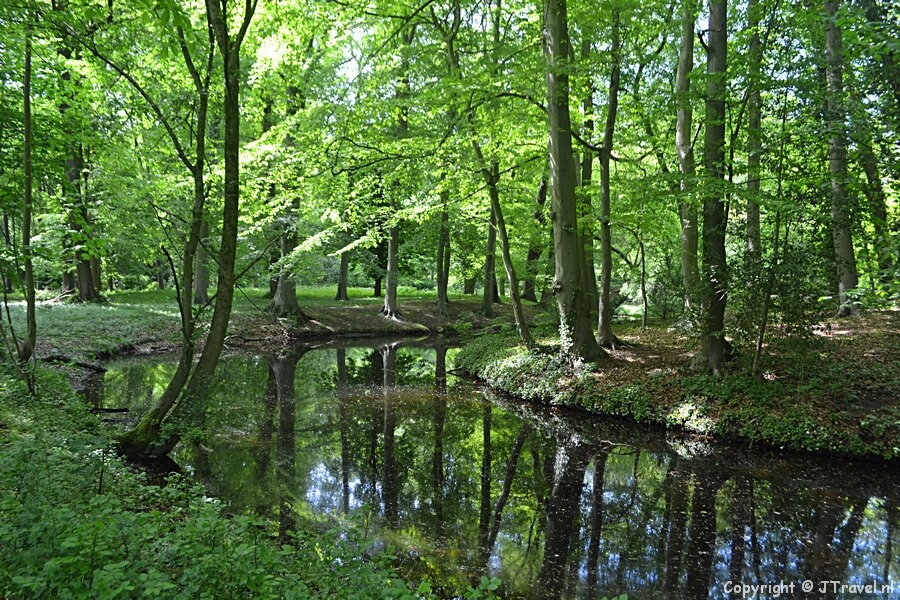De Zochervijver in Wandelbos Groenendaal in Heemstede