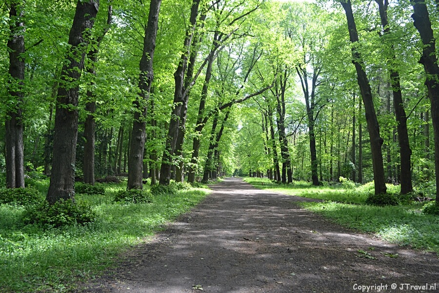 Een zichtlijn in Wandelbos Groenendaal in Heemstede
