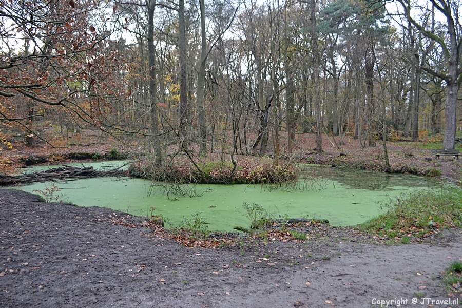 Kop en Schotel in Wandelbos Groenendaal in Heemstede