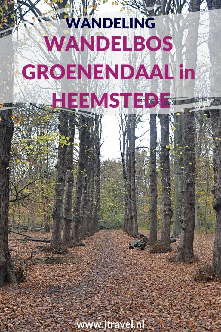 Ik maakte een herfstwandeling in Wandelbos Groenendaal in Heemstede. Meer informatie over Wandelbos Groenendaal en mijn wandelroute lees je in dit artikel. Loop je mee? #wandelen #wandelbosgroenendaal #heemstede #jtravel #jtravelblog