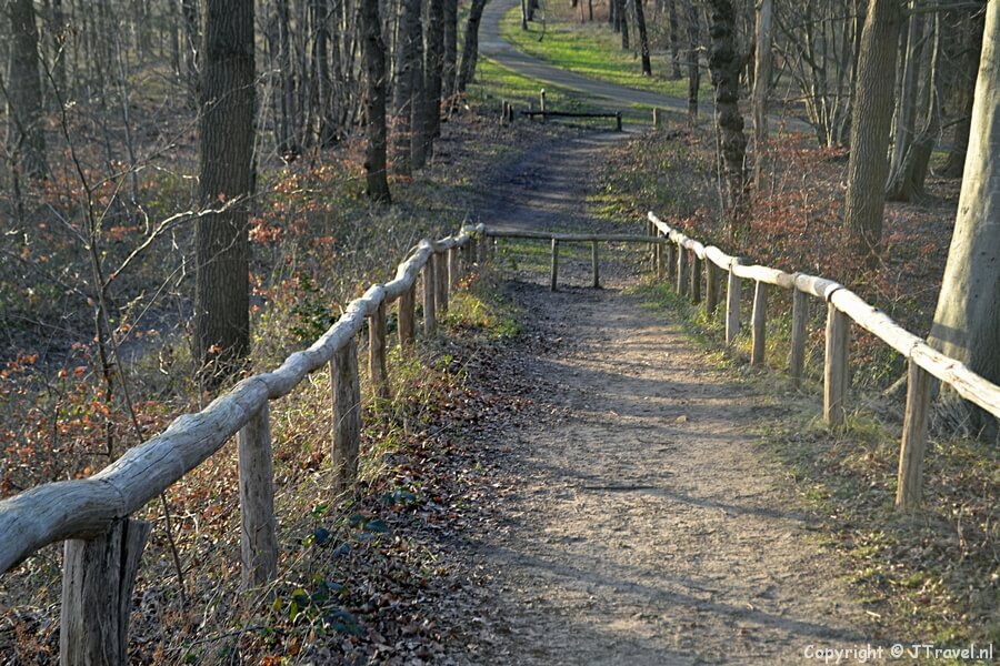 Een uitzichtspunt tijdens mijn wandeling over Buitenplaats Leyduin in Vogelenzang