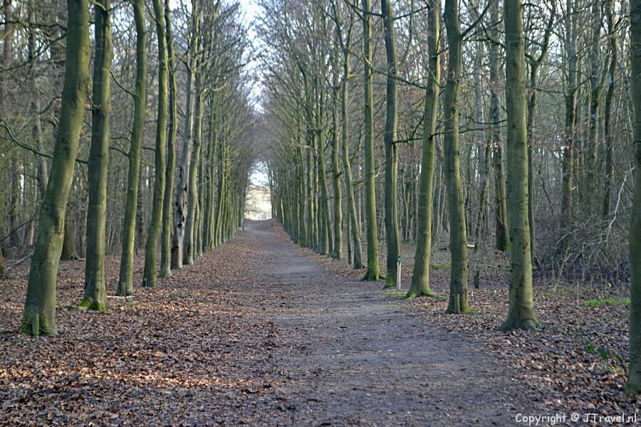 Een zichtlijn tijdens mijn wandeling over Buitenplaats Leyduin in Vogelenzang