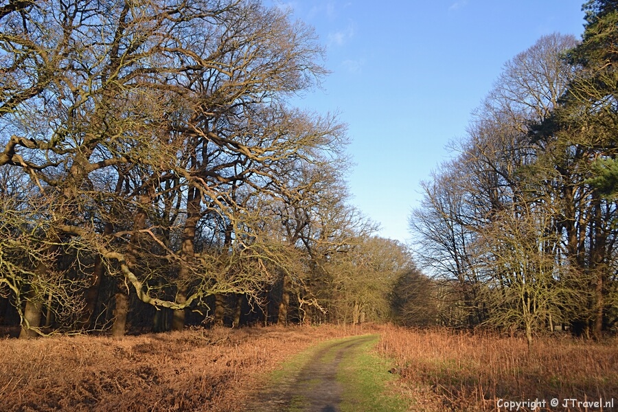 Onderweg tijdens mijn wandeling over Buitenplaats Leyduin in Vogelenzang