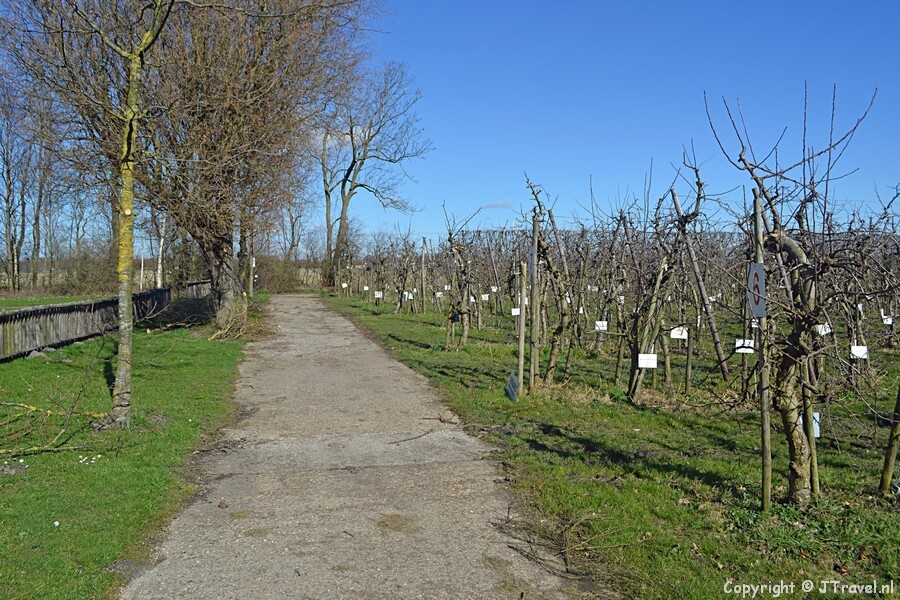 Landgoed De Olmenhorst tijdens mijn wandeling van de Olmenhorstroute rond Lisserbroek