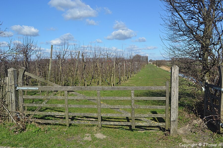 Het hek bij het verlaten van Landgoed De Olmenhorst tijdens mijn wandeling van de Olmenhorstroute rond Lisserbroek