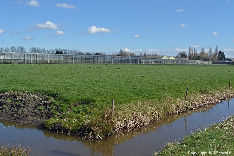 Het Reigerpad tijdens mijn wandeling van de Olmenhorstroute rond Lisserbroek