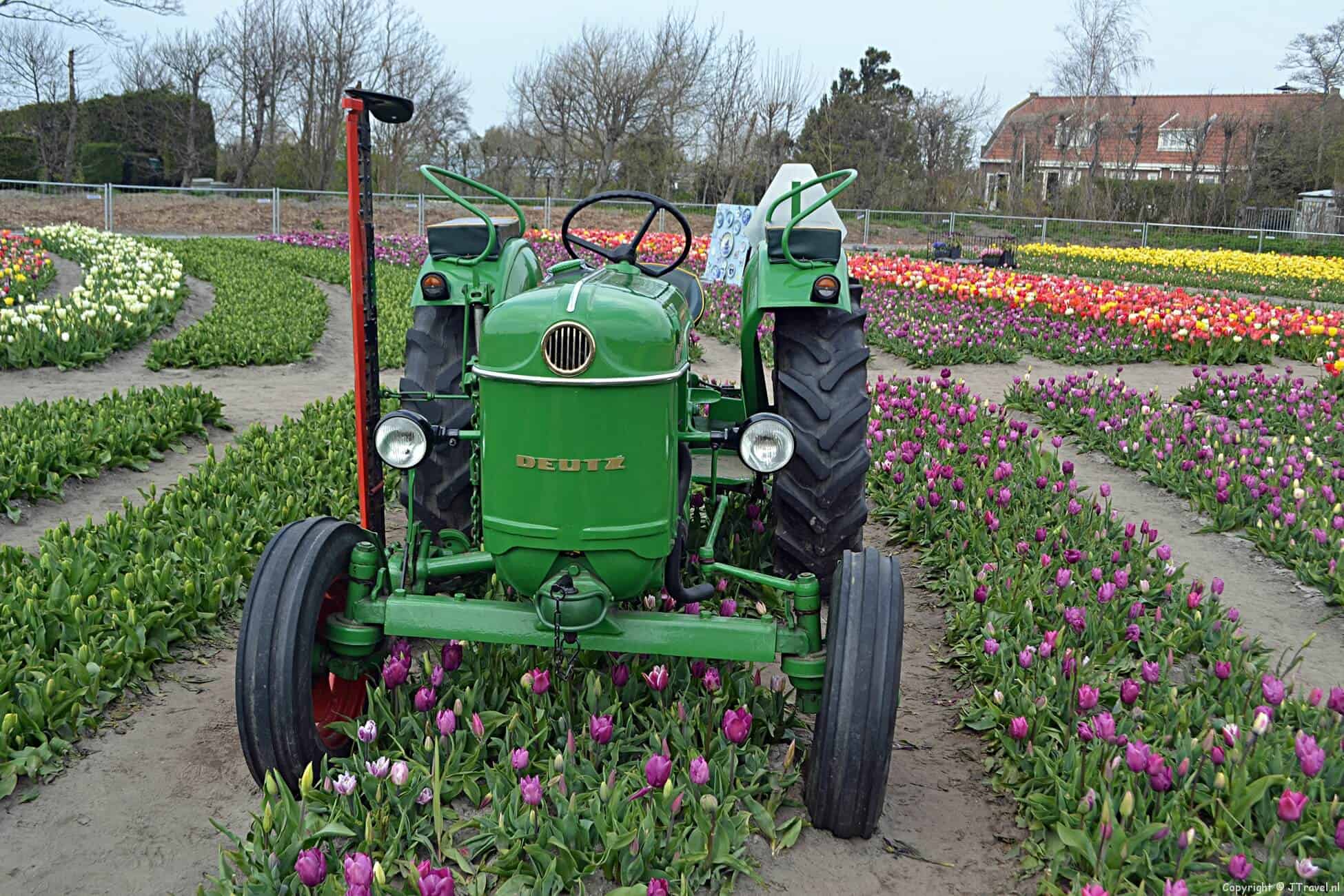 The Tulip Barn in Hillegom
