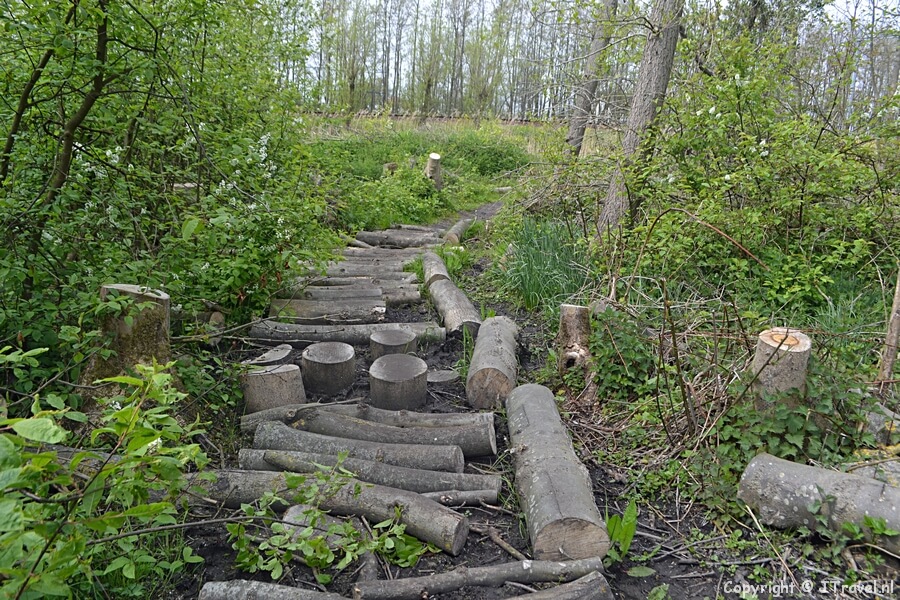 Landgoed Wassergeest tijdens Trage Tocht Lisse