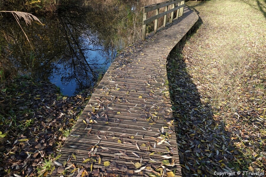 Het vlonderpad bij het moeras in het Haarlemmermeerse Bos in Hoofddorp tijdens mijn kabouterwandeling in het Haarlemmermeerse Bos in Hoofddorp