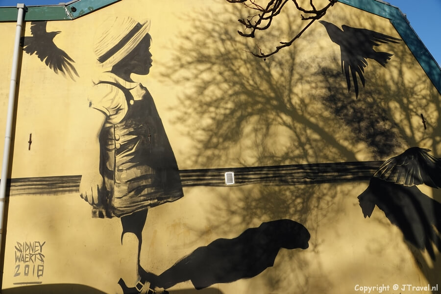 'Crows' van Sidney Waerts aan de Korteweg in Haarlem tijdens mijn wandeling langs street art in Haarlem