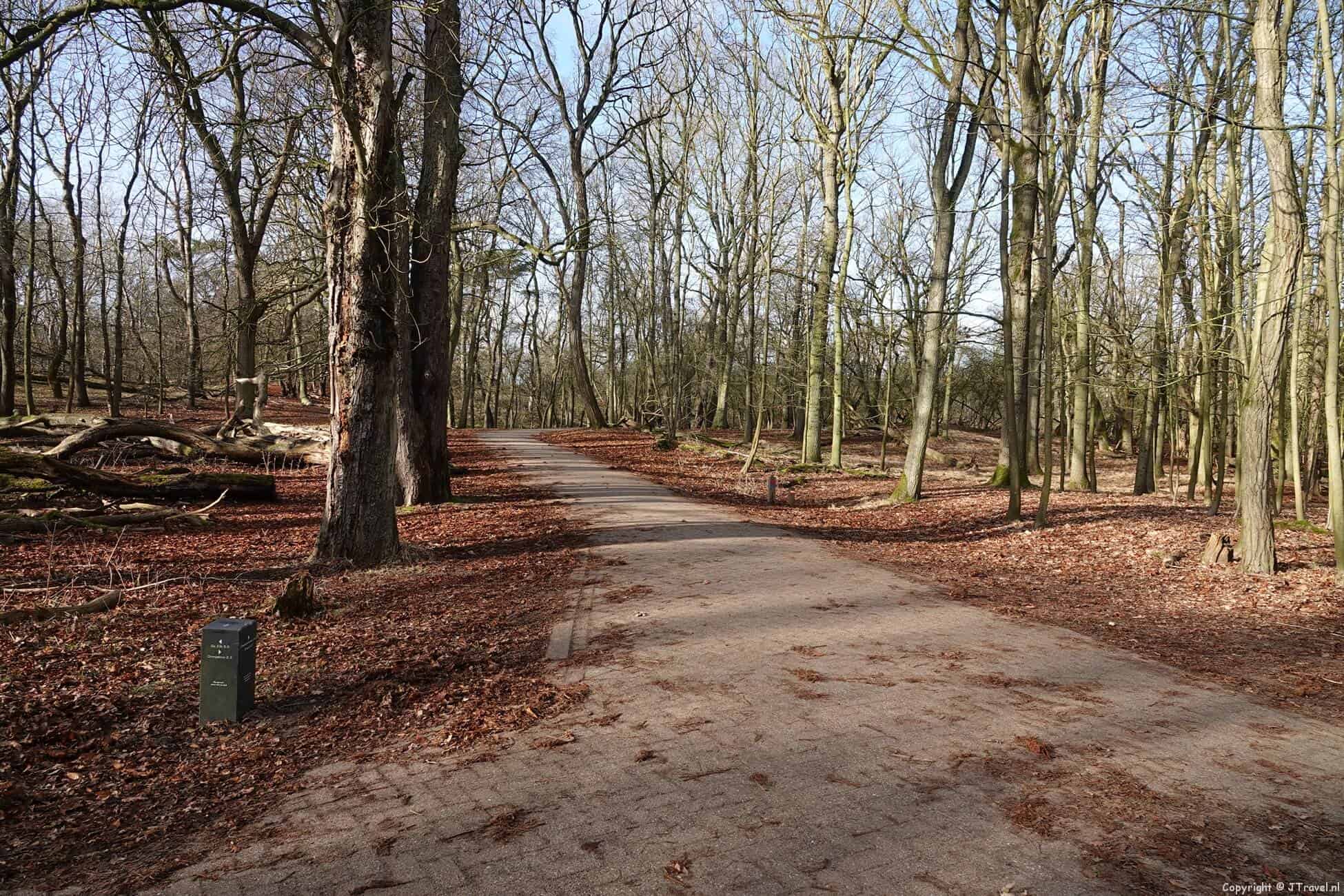 Foto's van mijn wandeling in de Amsterdamse Waterleidingduinen op 28 januari 2022