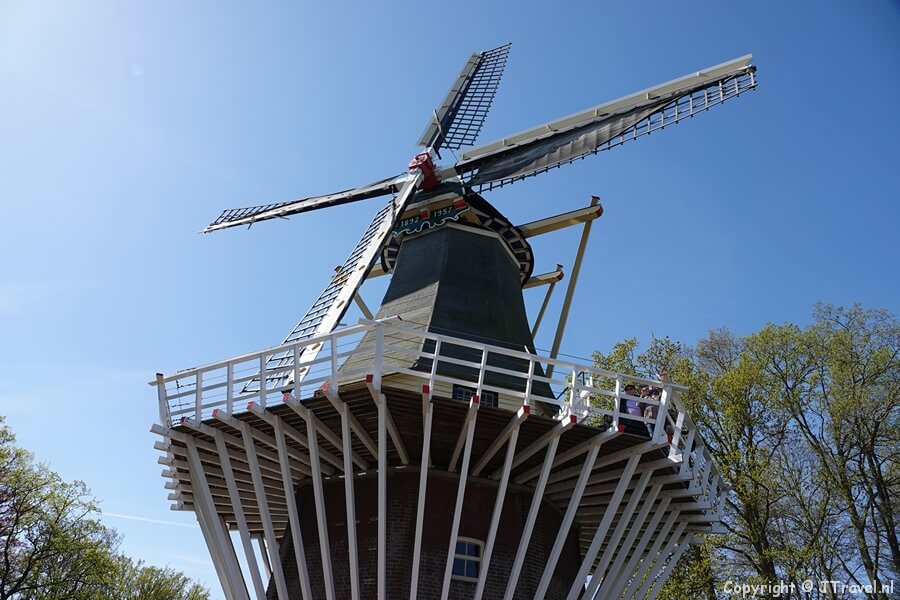 De molen in de Keukenhof 2022 / Copyright © JTravel.nl