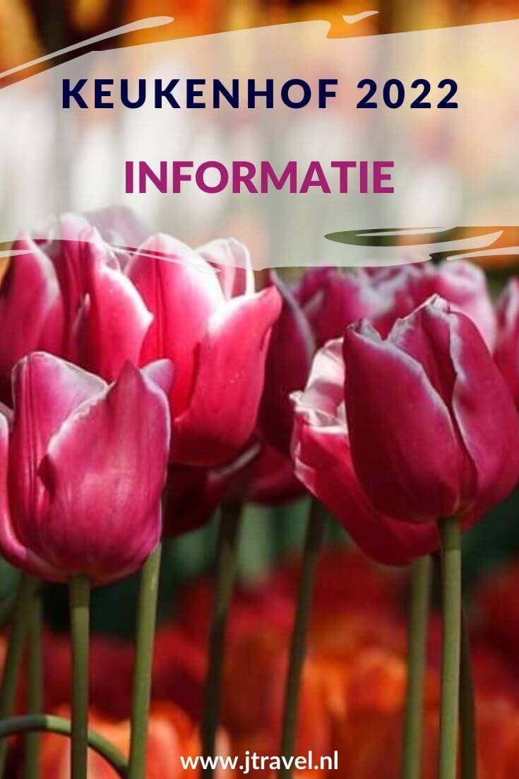 Ik bracht in april 2022 weer een bezoek aan de Keukenhof in Lisse. De informatie over de Keukenhof lees je hier. Lees je mee? #keukenhof #lisse #bollenstreek #bloemententoonstelling #informatie #jtravel #jtravelblog