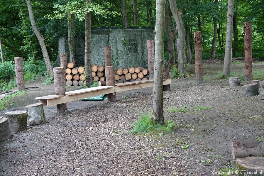 Oerbos op Green Island op de Floriade Expo 2022 in Almere<br/>Copyright ยฉ JTravel.nl