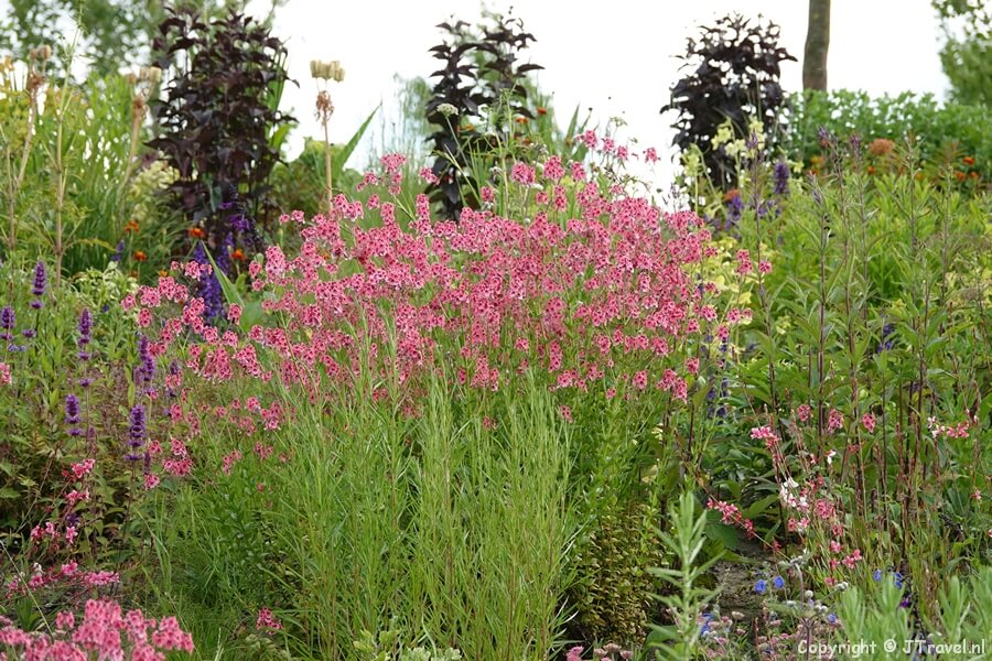 Classics & Future Moments in Urban District op de Floriade Expo 2022 in Almere