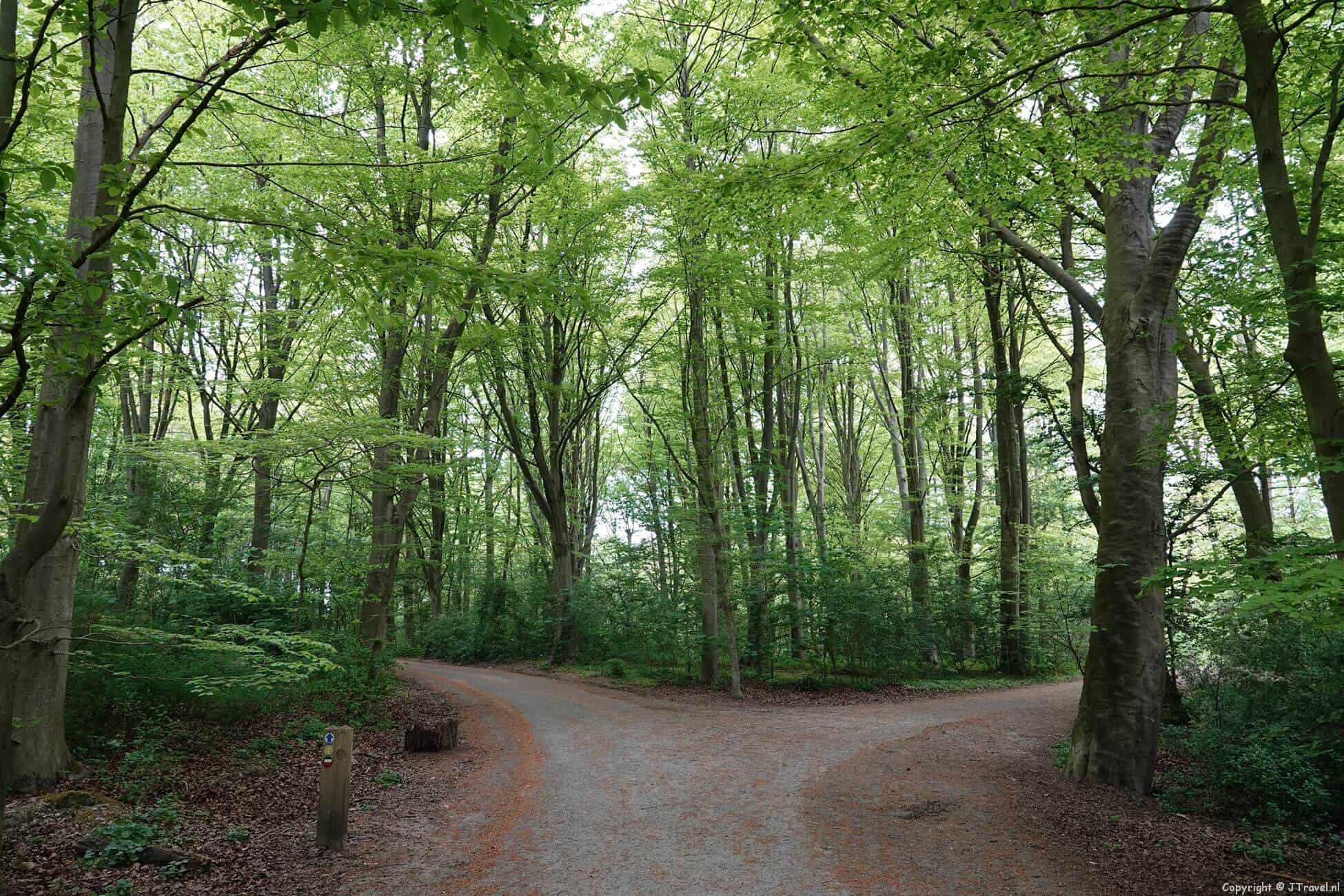 Mijn wandeling in het Amsterdamse Bos en in de heemparken in Amstelveen