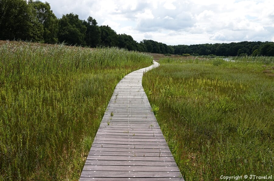 Vlonderpad tijdens mijn wandeling in de Gooise natuur