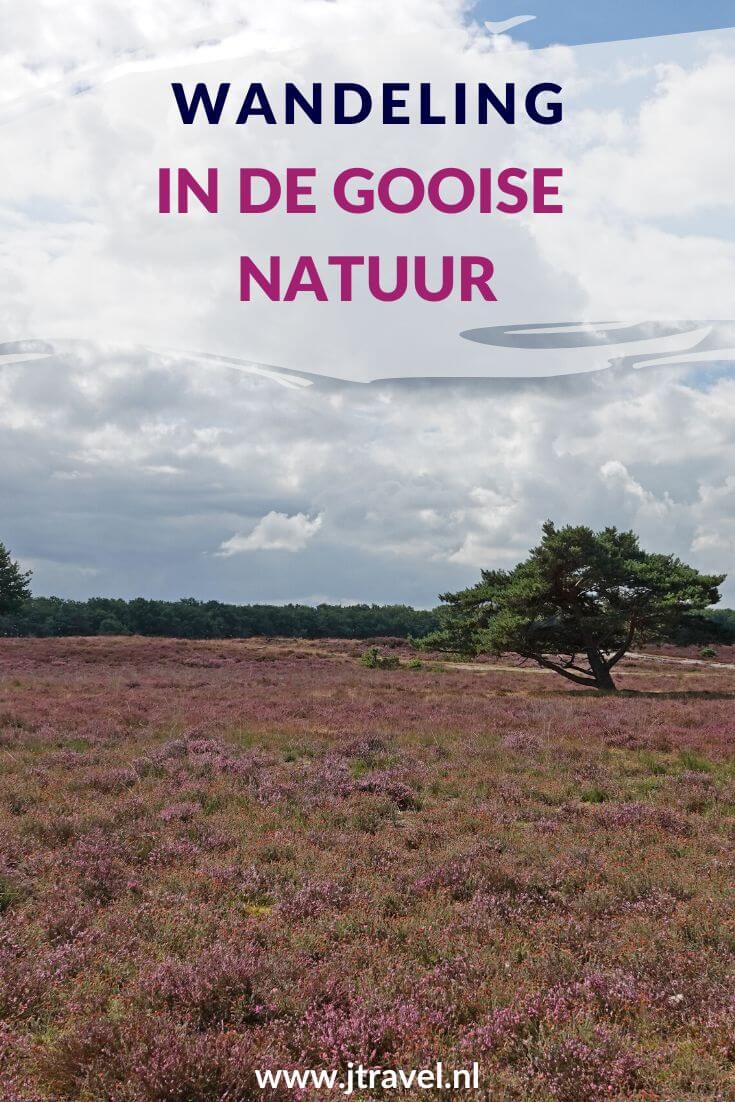 Ik maakte een wandeling in de Gooise natuur over de Bussumerheide en langs buitenplaatsen in 's-Graveland. Een wandeling over de heidevelden die op dat moment in bloei staan en door de bossen langs een paar buitenplaatsen. Wandel je mee met deze wandeling in de Gooise natuur. #bussum #bussumerheide #buitenplaatsen #jtravelblog #jtravel