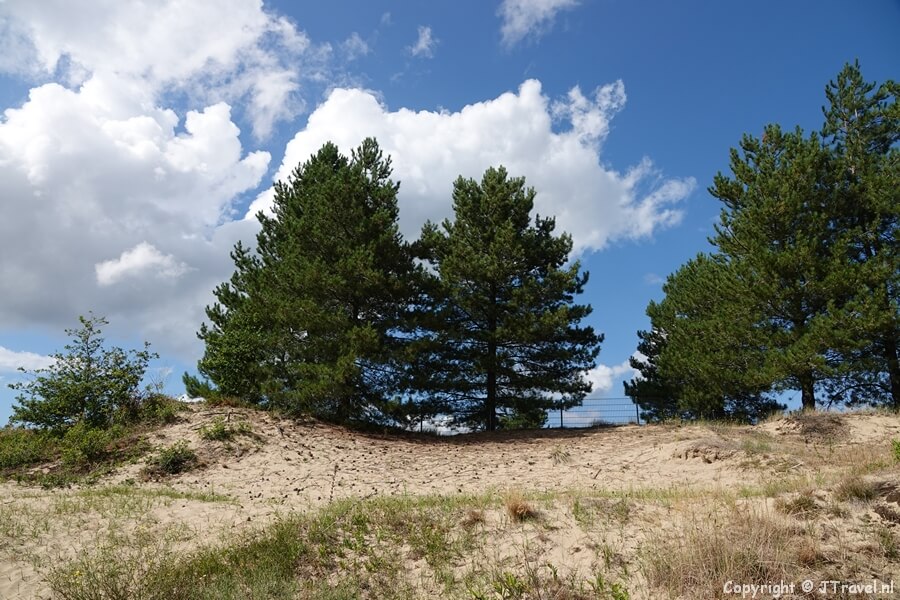 Langs het Visscherspad tijdens mijn wandeling tussen Haarlem en Zandvoort