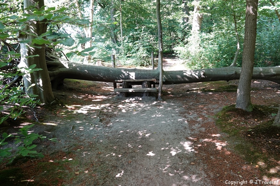 Buitenplaats Bantam tijdens mijn wandeling in de Gooise natuur