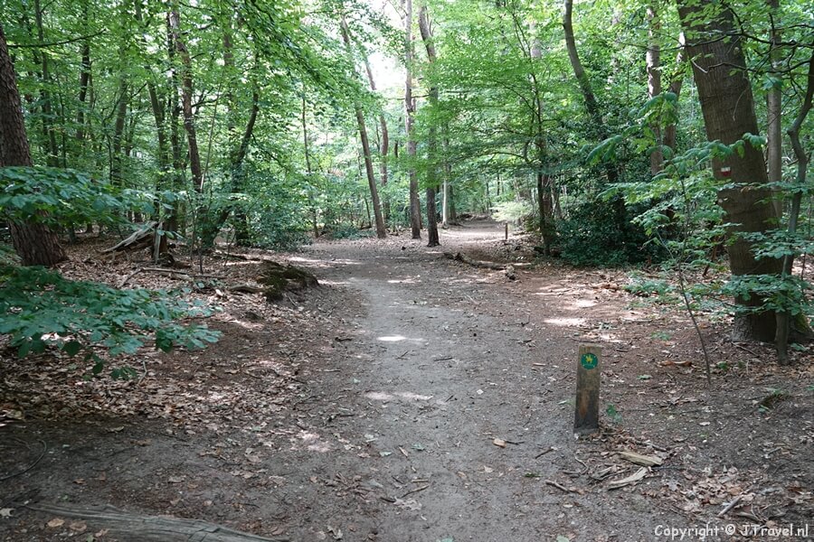 Spanderswoud tijdens mijn wandeling in de Gooise natuur