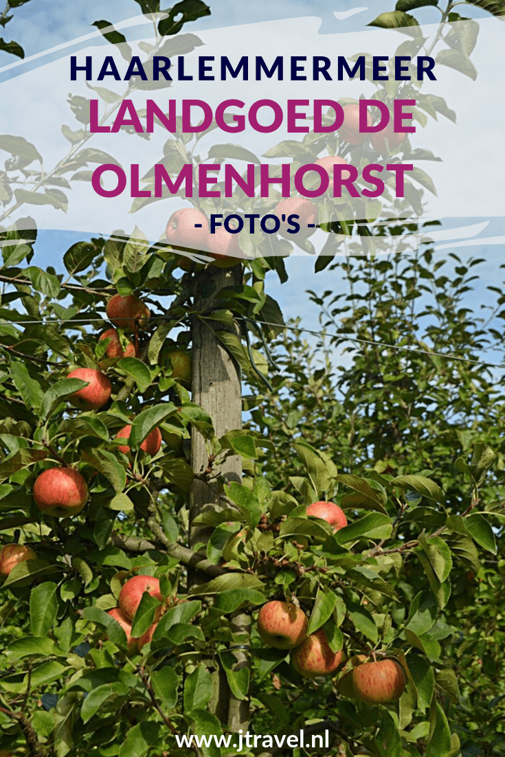 Op Landgoed De Olmenhorst in Lisserbroek kun je in september en oktober je eigen appels en peren plukken. De foto's die ik tijdens een plukmiddag maakte, zie je hier. Kijk je mee? #lisserbroek #landgoeddeolmenhorst #olmenhorst #appels #peren #landgoed #fotos #jtravel #jtravelblog
