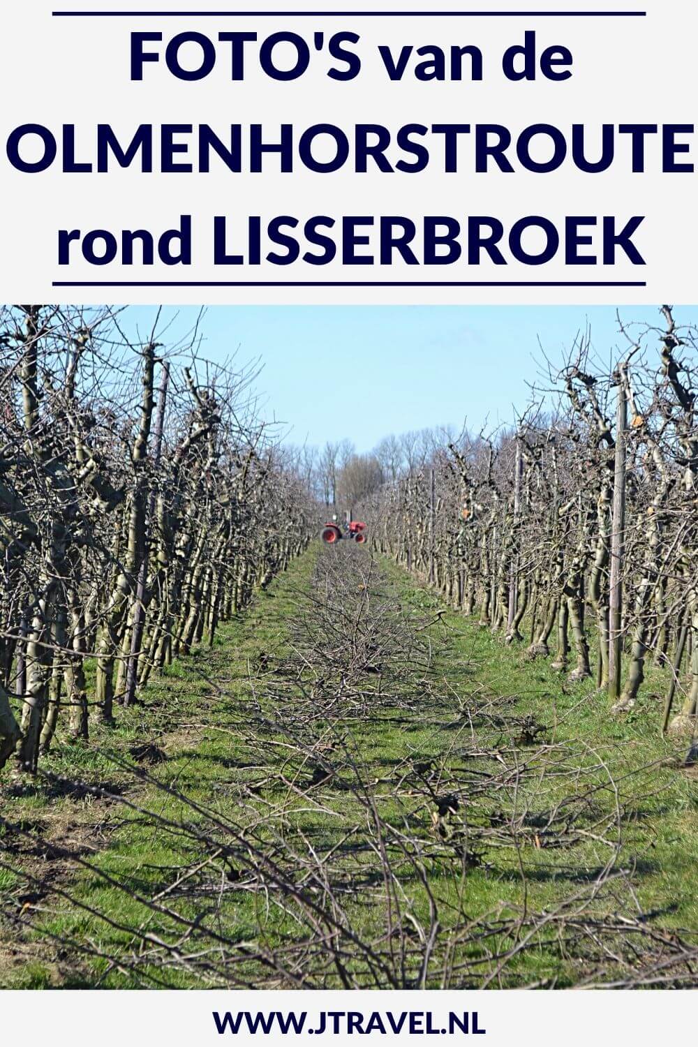 Ik liep de Olmenhorstroute, een wandeling rond Lisserbroek in de gemeente Haarlemmermeer. Plekken die u aandoet tijdens deze wandeling van 10 kilometer zijn Lisserbroek, Landgoed De Olmenhorst en Abbenes. De foto's ziet u in dit artikel. #olmenhorstroute #landgoeddeolmenhorst #lisserbroek #haarlemmermeer #jtravel #jtravelblog #fotos