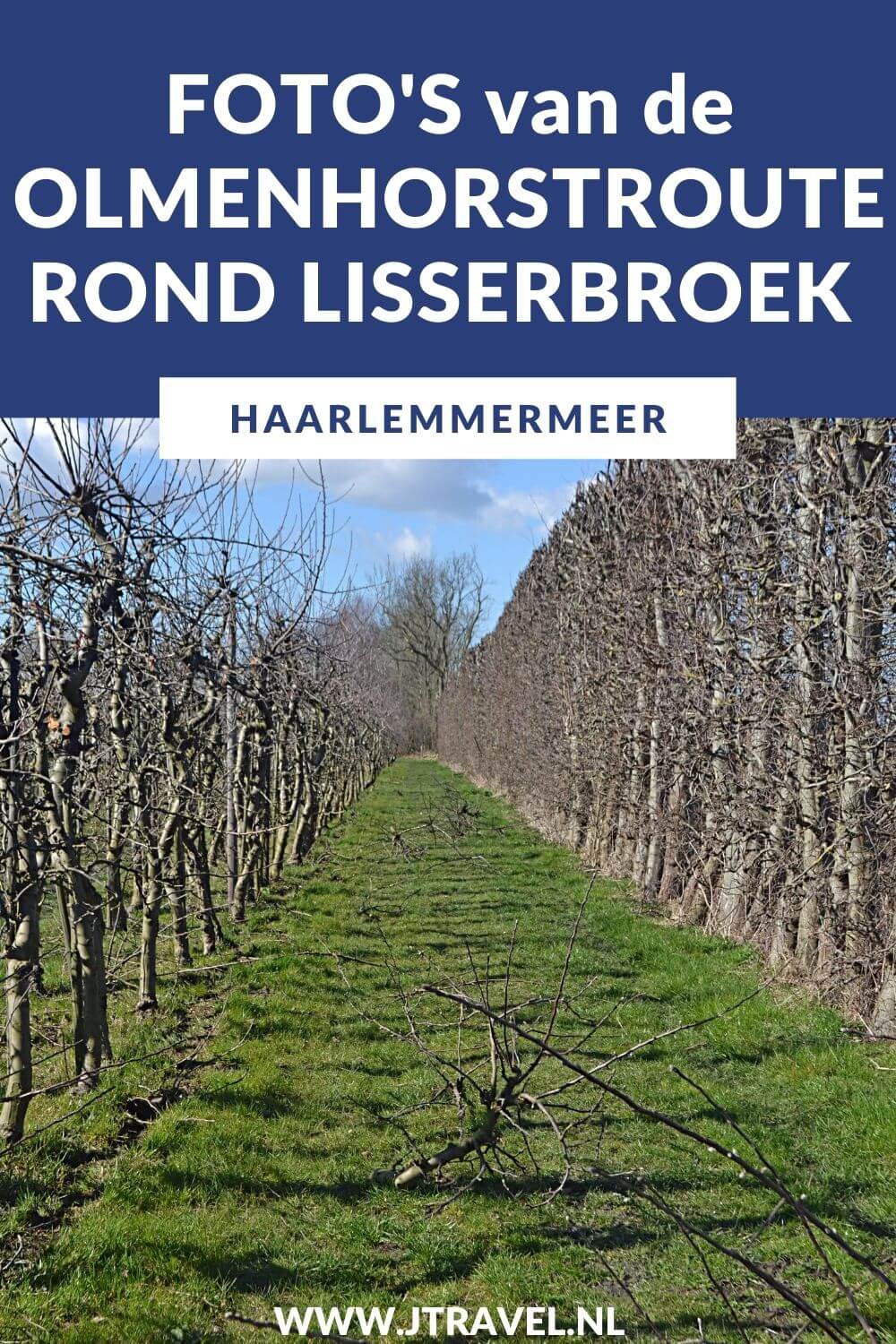 Ik liep de Olmenhorstroute, een wandeling rond Lisserbroek in de gemeente Haarlemmermeer. Plekken die u aandoet tijdens deze wandeling van 10 kilometer zijn Lisserbroek, Landgoed De Olmenhorst en Abbenes. De foto's ziet u in dit artikel. #olmenhorstroute #landgoeddeolmenhorst #lisserbroek #haarlemmermeer #jtravel #jtravelblog #fotos