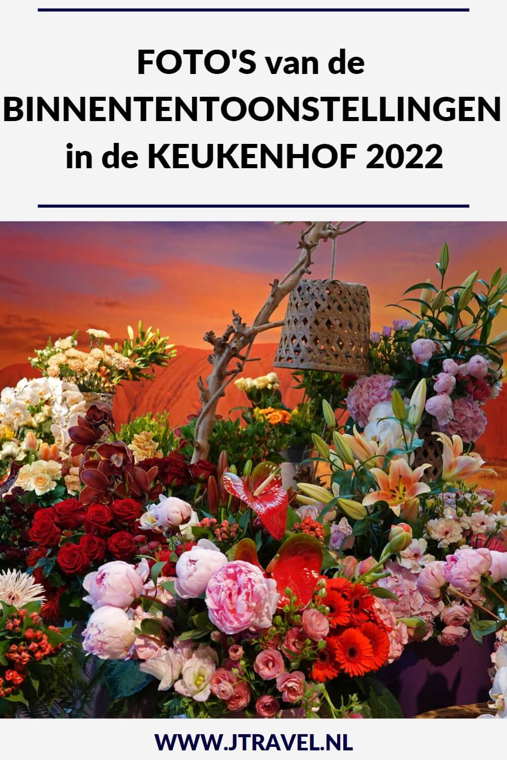 Ik bracht in april 2022 weer een bezoek aan de Keukenhof in Lisse. Hier zie je mijn foto's van binnententoonstellingen tijdens de bloemententoonstelling. Kijk je mee? #keukenhof #lisse #bollenstreek #bloemententoonstelling #fotos #binnententoonstellingen #jtravel #jtravelblog