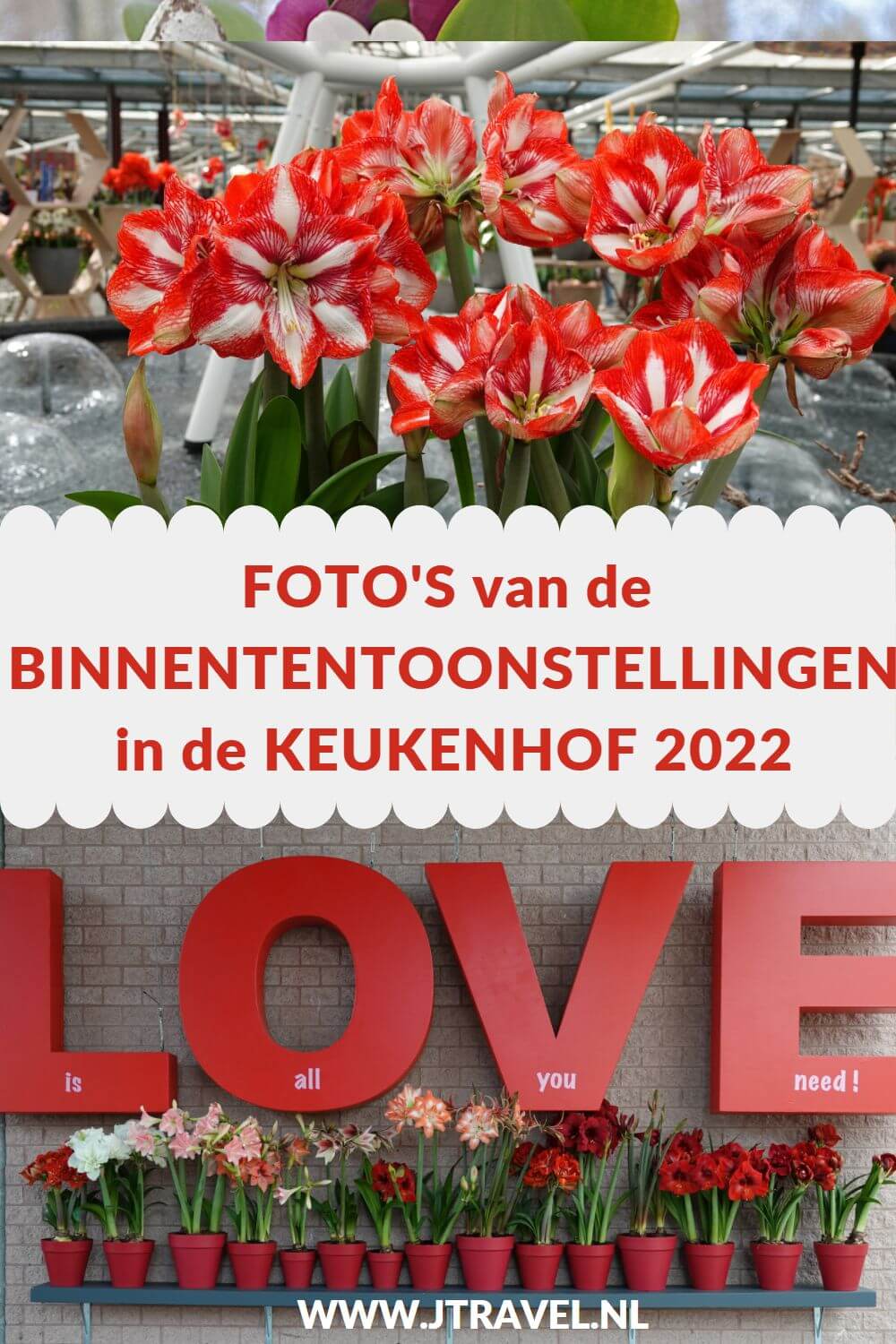 Ik bracht in april 2022 weer een bezoek aan de Keukenhof in Lisse. Hier zie je mijn foto's van binnententoonstellingen tijdens de bloemententoonstelling. Kijk je mee? #keukenhof #lisse #bollenstreek #bloemententoonstelling #fotos #binnententoonstellingen #jtravel #jtravelblog