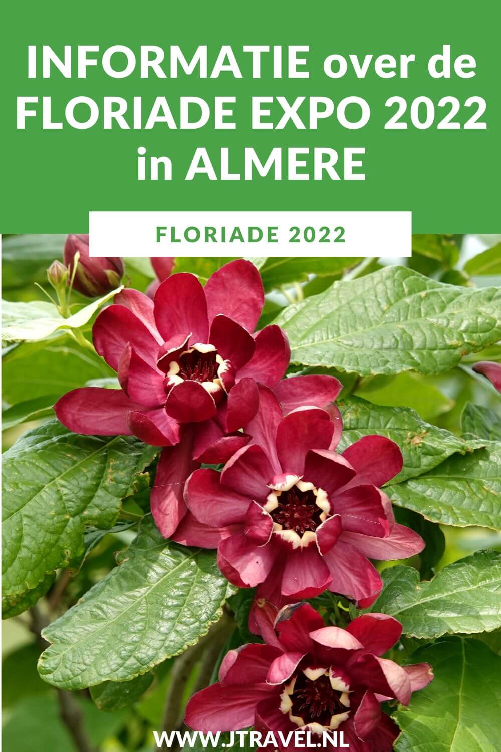 Ik bracht in mei en juni 2022 twee keer een bezoek aan de Floriade Expo 2022 in Almere. In dit artikel geef ik alle informatie, zoals wat is de Floriade, entreeprijzen, bereikbaarheid en het thema in 2022. #floriade #floriade2022 #floriadeexpo2022 #almere #flevoland #tuinbouwtentoonstelling #jtravel #jtravelblog