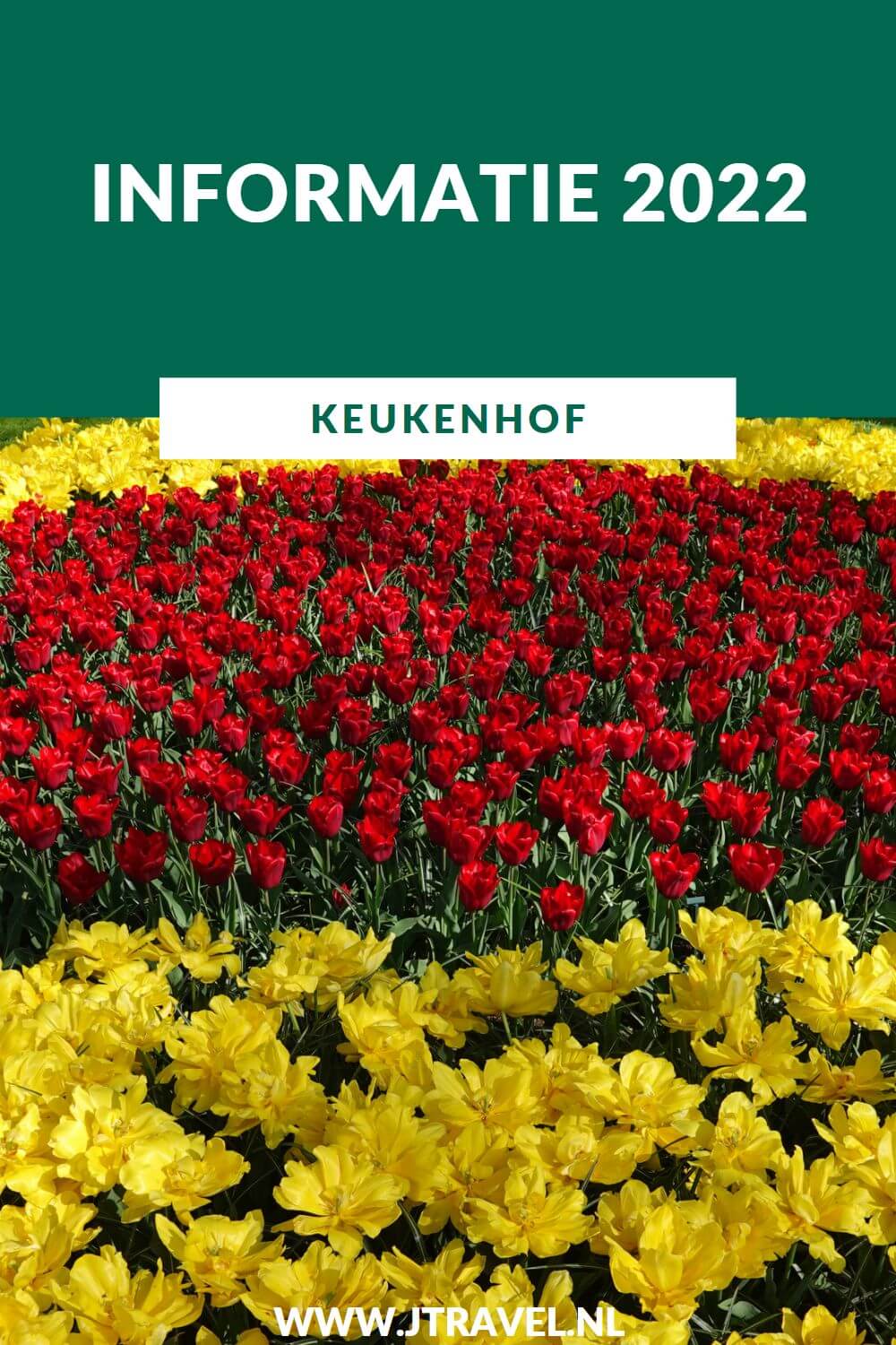 Ik bracht in april 2022 weer een bezoek aan de Keukenhof in Lisse. De informatie over de Keukenhof lees je hier. Lees je mee? #keukenhof #lisse #bollenstreek #bloemententoonstelling #informatie #jtravel #jtravelblog