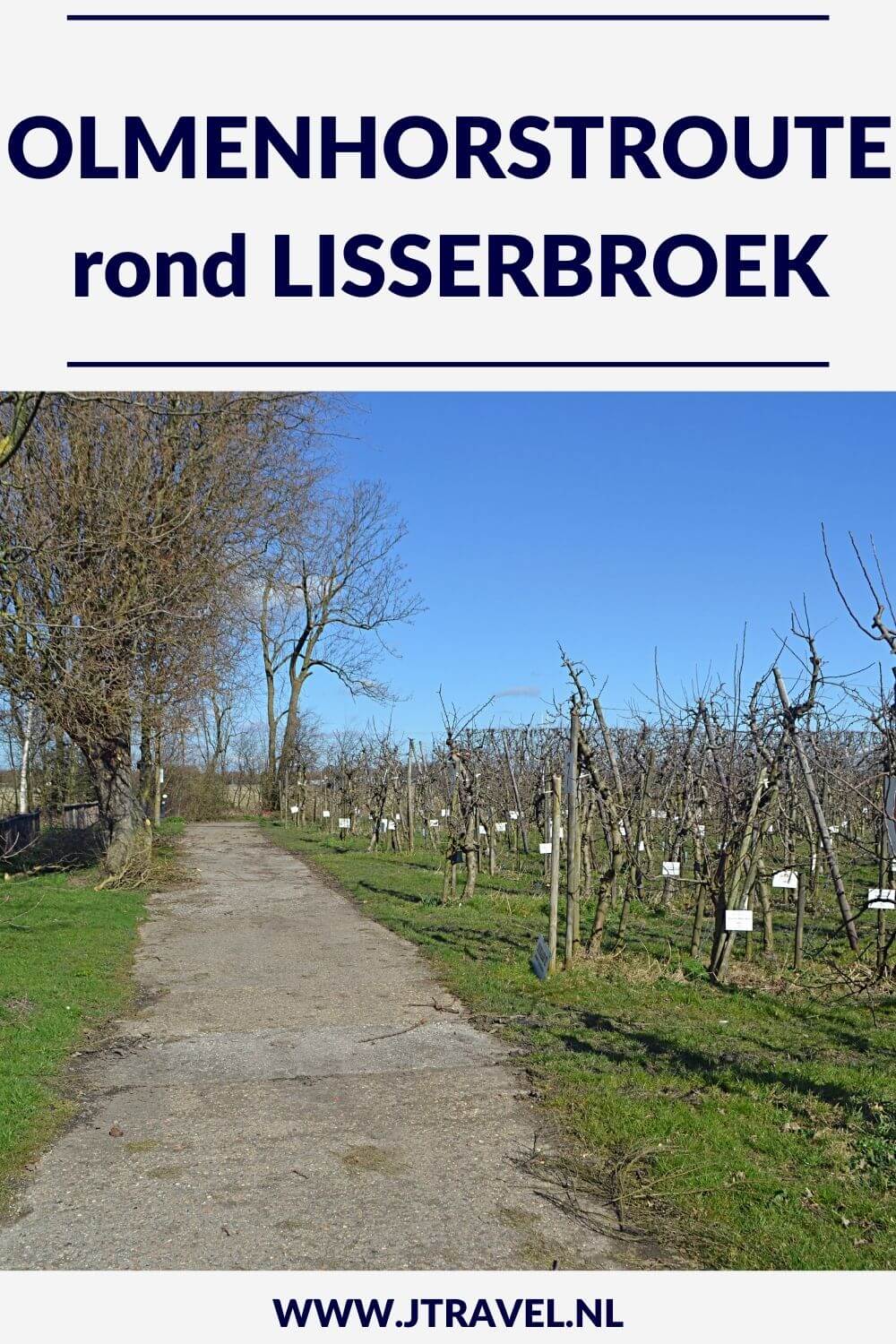Ik liep de Olmenhorstroute, een wandeling rond Lisserbroek in de gemeente Haarlemmermeer. Plekken die u aandoet tijdens deze wandeling van 10 kilometer zijn Lisserbroek, Landgoed De Olmenhorst en Abbenes. Alles over de Olmenhorstroute leest u in dit artikel. #olmenhorstroute #landgoeddeolmenhorst #lisserbroek #haarlemmermeer #jtravel #jtravelblog