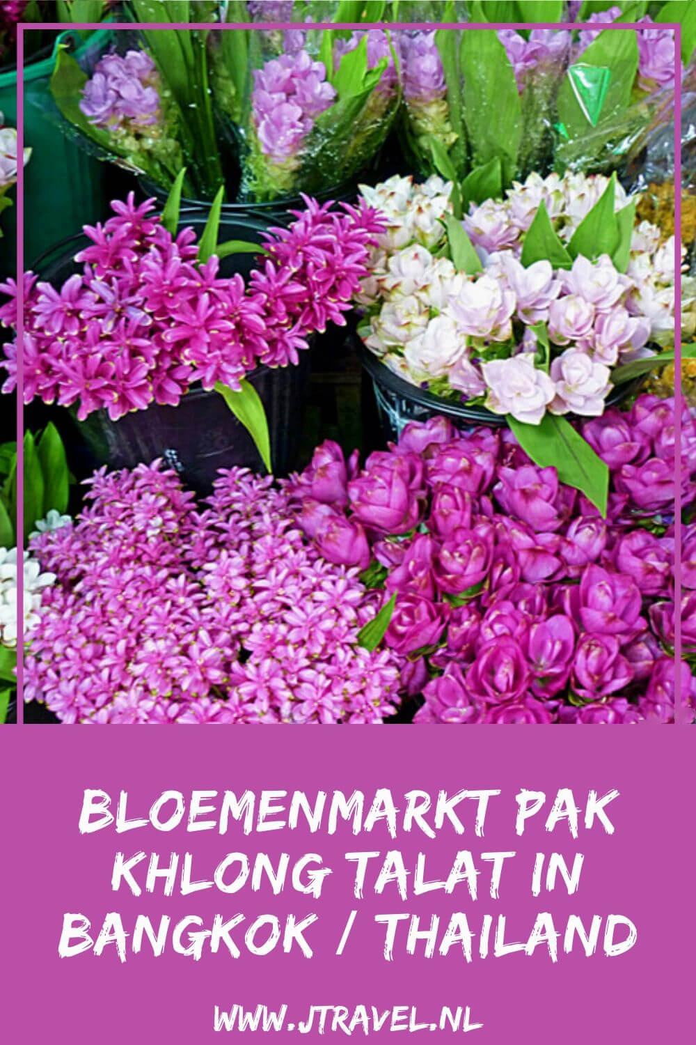 Een interessante plek in Bangkok is de Bloemenmarkt Pak Khlong Talat met orchideeën, lotusbloemen en andere schitterende bloemen. Aan de overkant van de straat is gigantische groentemarkt. Meer lezen? Kijk dan op mijn website. #pakkhlongtalat #bloemenmarktpakkhlongtalat #bloemenmarkt #bangkok #thailand #jtravel #jtravelblog