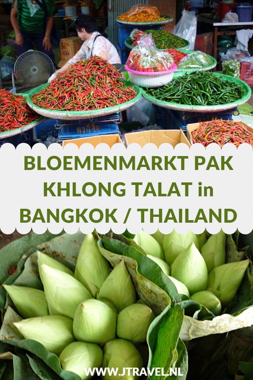 Een interessante plek in Bangkok is de Bloemenmarkt Pak Khlong Talat met orchideeën, lotusbloemen en andere schitterende bloemen. Aan de overkant van de straat is gigantische groentemarkt. Meer lezen? Kijk dan op mijn website. #pakkhlongtalat #bloemenmarktpakkhlongtalat #bloemenmarkt #bangkok #thailand #jtravel #jtravelblog
