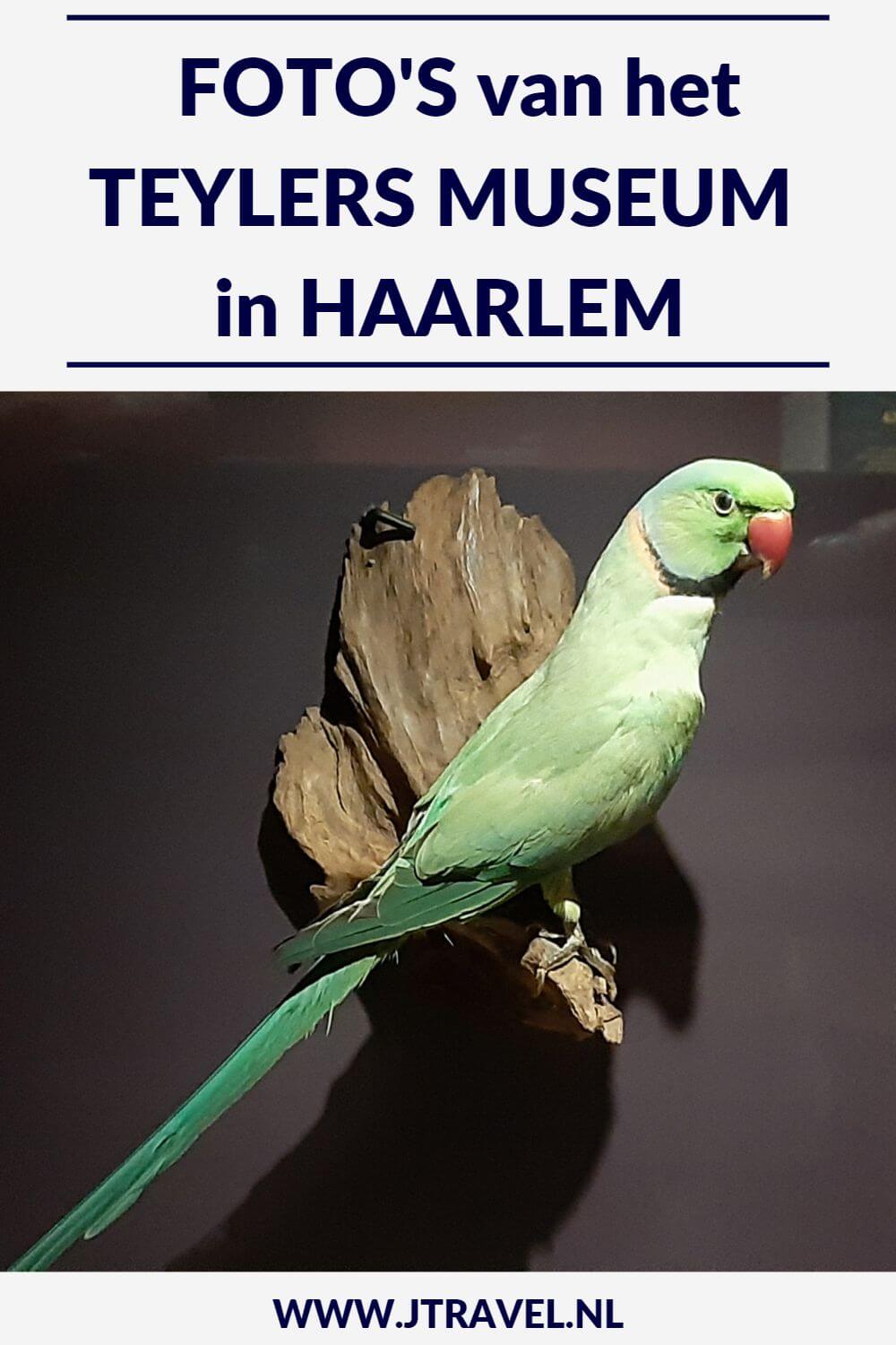 Het Teylers Museum is opgericht als kennisinstituut voor wetenschap en kunst. In het schitterende gebouw van het Teylers Museum ziet u kunst van beroemde meesters, miljoenenoude fossielen, fonkelende mineralen, peperdure boeken en vernuftige instrumenten. Mijn foto's zie je in dit artikel. #teylersmuseum #teylers #haarlem #museum #museumkaart #jtravel #jtravelblog #fotos