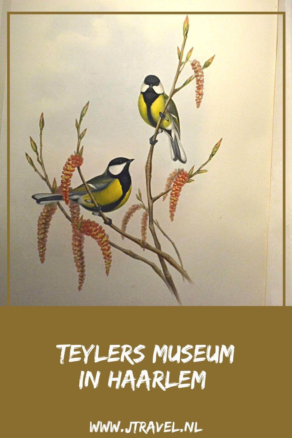 Het Teylers Museum is opgericht als kennisinstituut voor wetenschap en kunst. In het schitterende gebouw van het Teylers Museum ziet u kunst van beroemde meesters, miljoenenoude fossielen, fonkelende mineralen, peperdure boeken en vernuftige instrumenten. #teylersmuseum #teylers #haarlem #museum #museumkaart #jtravel #jtravelblog Het Teylers Museum is opgericht als kennisinstituut voor wetenschap en kunst. In het schitterende gebouw van het Teylers Museum ziet u kunst van beroemde meesters, miljoenenoude fossielen, fonkelende mineralen, peperdure boeken en vernuftige instrumenten. #teylersmuseum #teylers #haarlem #museum #museumkaart #jtravel #jtravelblog