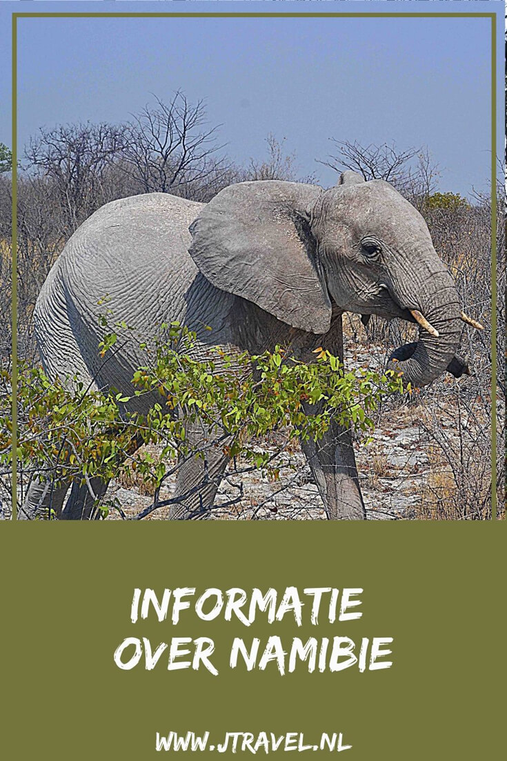 Hier lees je informatie over Namibië, zoals de taal, geschiedenis, klimaat, geldzaken, grensdocumenten, bevolking en klimaat. Meer lezen doe je hier. Lees je mee? #namibie #informatie #jtravel #jtravelblog Hier lees je informatie over Namibië, zoals de taal, geschiedenis, klimaat, geldzaken, grensdocumenten, bevolking en klimaat. Meer lezen doe je hier. Lees je mee? #namibie #informatie #jtravel #jtravelblog